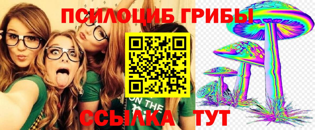 Псилоцибиновые грибы прущие грибы Азнакаево