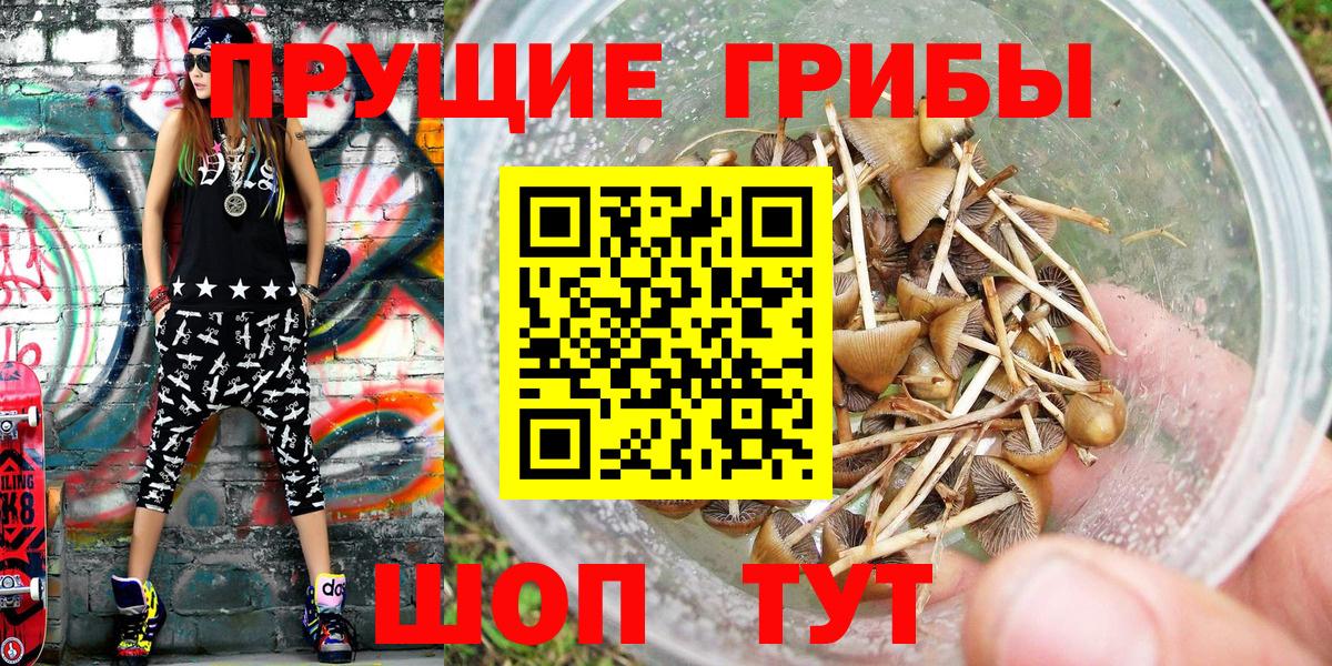 Псилоцибиновые грибы ЛСД  Псилоцибиновые грибы MAGIC MUSHROOMS  Азнакаево  Вход с VPN 